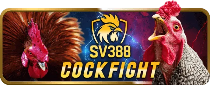 Chương trình VIP尊享计划 g66