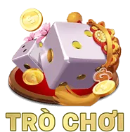 Dịch vụ hỗ trợ khách hàng 24/7 của G66